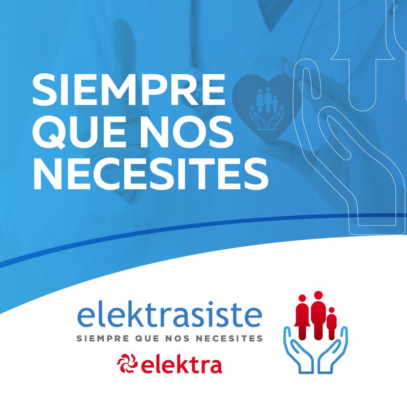 Elektrasiste