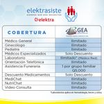 Elektrasiste