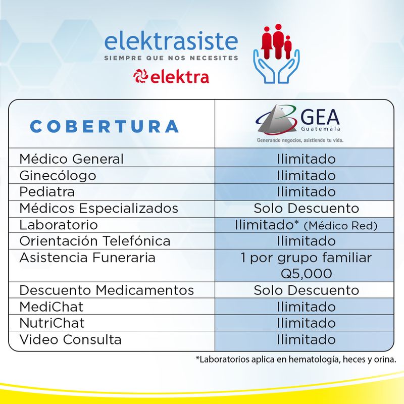 Elektrasiste