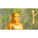 Nintendo Switch Zelda BOW