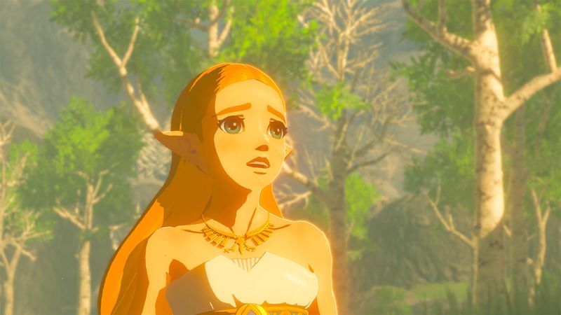 Nintendo Switch Zelda BOW