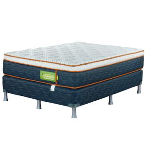 Set Queen Size Therapedic Sleep Comfort