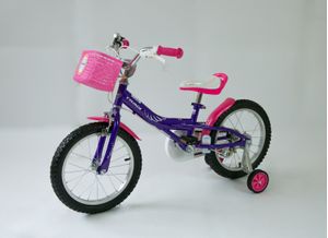 Bicicleta R16 TRINX Princess 2.0 Morada/Rosa