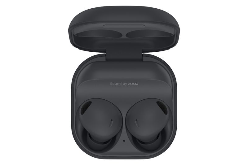 Samsung Galaxy Buds 2 Pro Gray