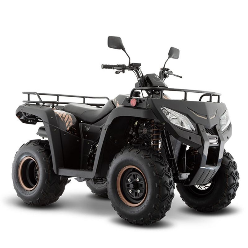 Cuatrimoto-ATV-250-Italika-2022-34005266---1-