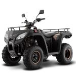 Cuatrimoto-ATV-250-Italika-2022-34005266---4-