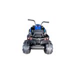 CUATRIMOTO-GRANDE-TRI113-37003000--2-.JPG