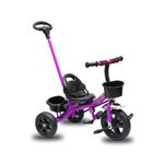 Triciclo Sport con Guía
