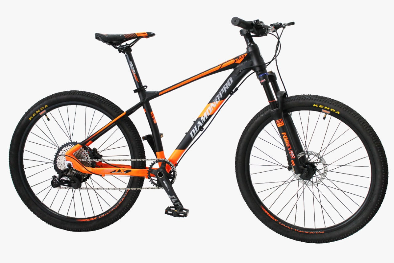 Bicicleta MTB 29 Diamond Forever Pro 1.0 Bl82 Elektra GT