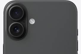 images--7-.jpeg