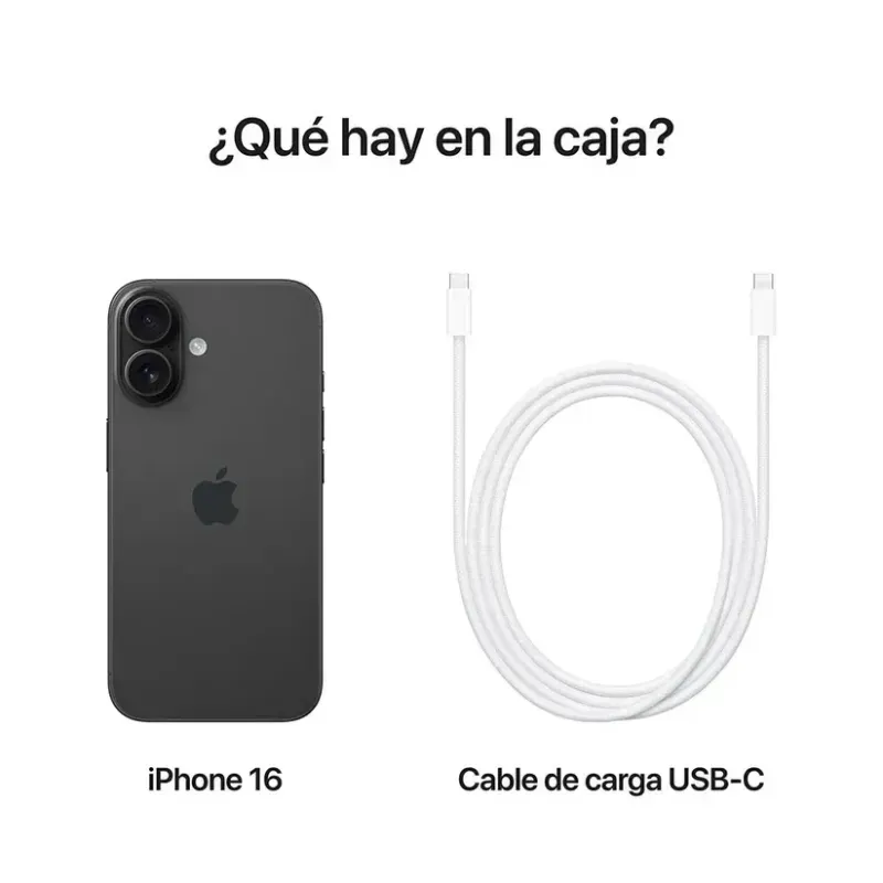 31062094-05